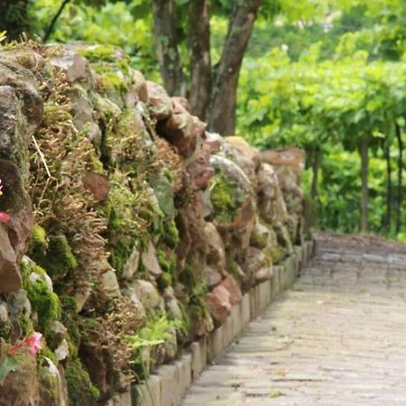 Casa Vigneto Octavio No Vale Dos Vinhedos Βίλα Bento Gonçalves Εξωτερικό φωτογραφία