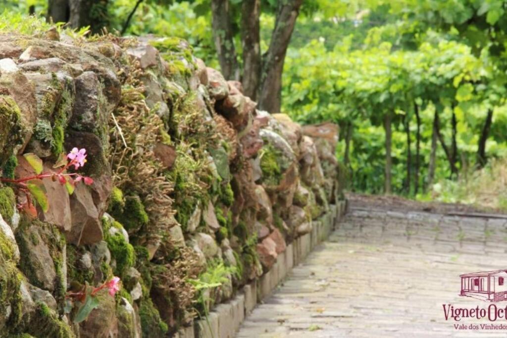 Casa Vigneto Octavio No Vale Dos Vinhedos Βίλα Bento Gonçalves Εξωτερικό φωτογραφία
