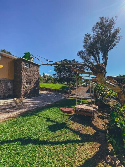 Casa Vigneto Octavio No Vale Dos Vinhedos Βίλα Bento Gonçalves Εξωτερικό φωτογραφία