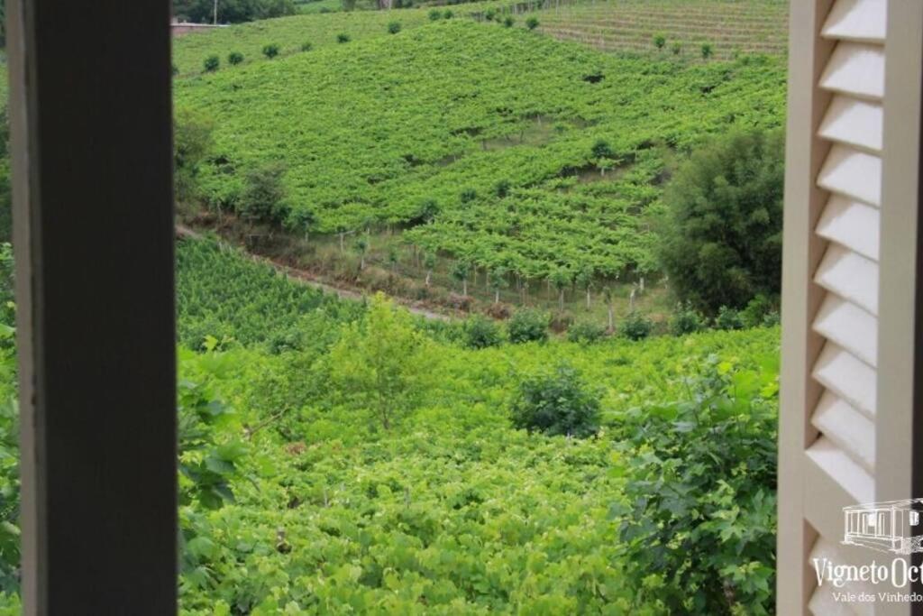 Casa Vigneto Octavio No Vale Dos Vinhedos Βίλα Bento Gonçalves Εξωτερικό φωτογραφία