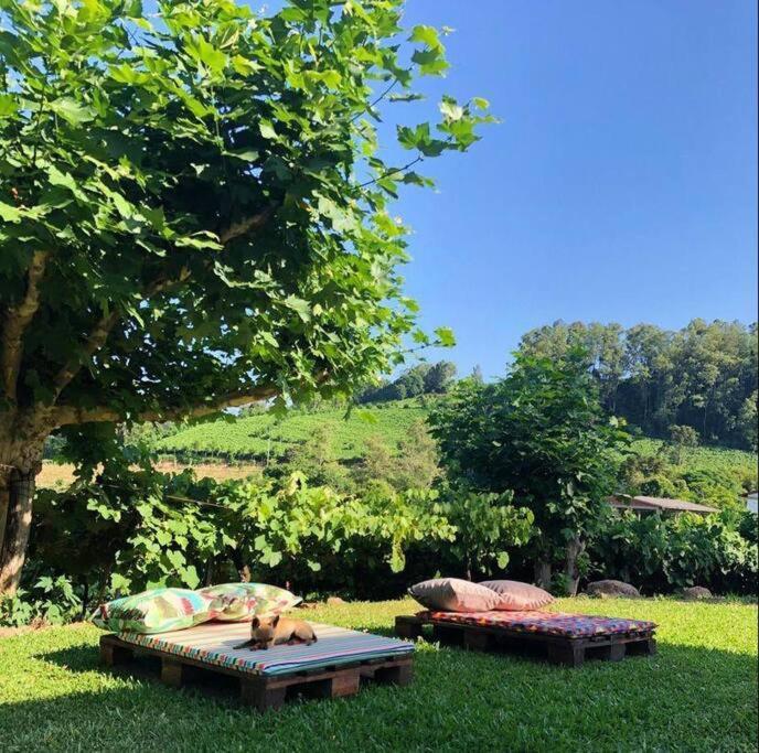 Casa Vigneto Octavio No Vale Dos Vinhedos Βίλα Bento Gonçalves Εξωτερικό φωτογραφία